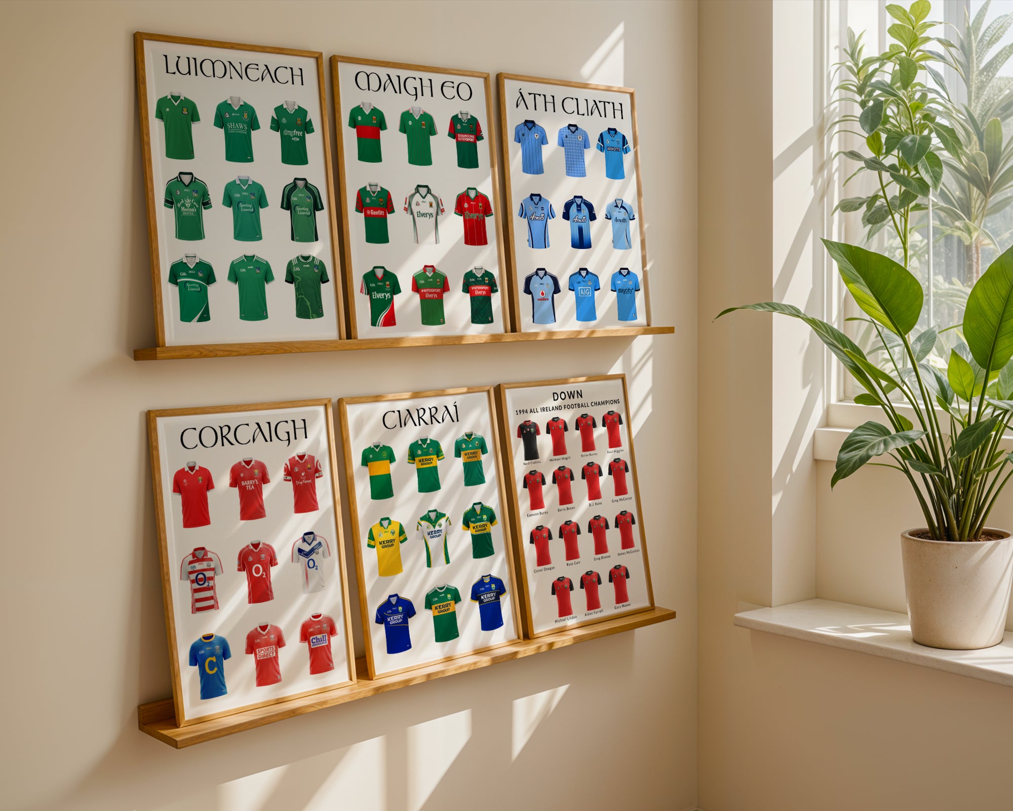 The History of Kilkenny GAA