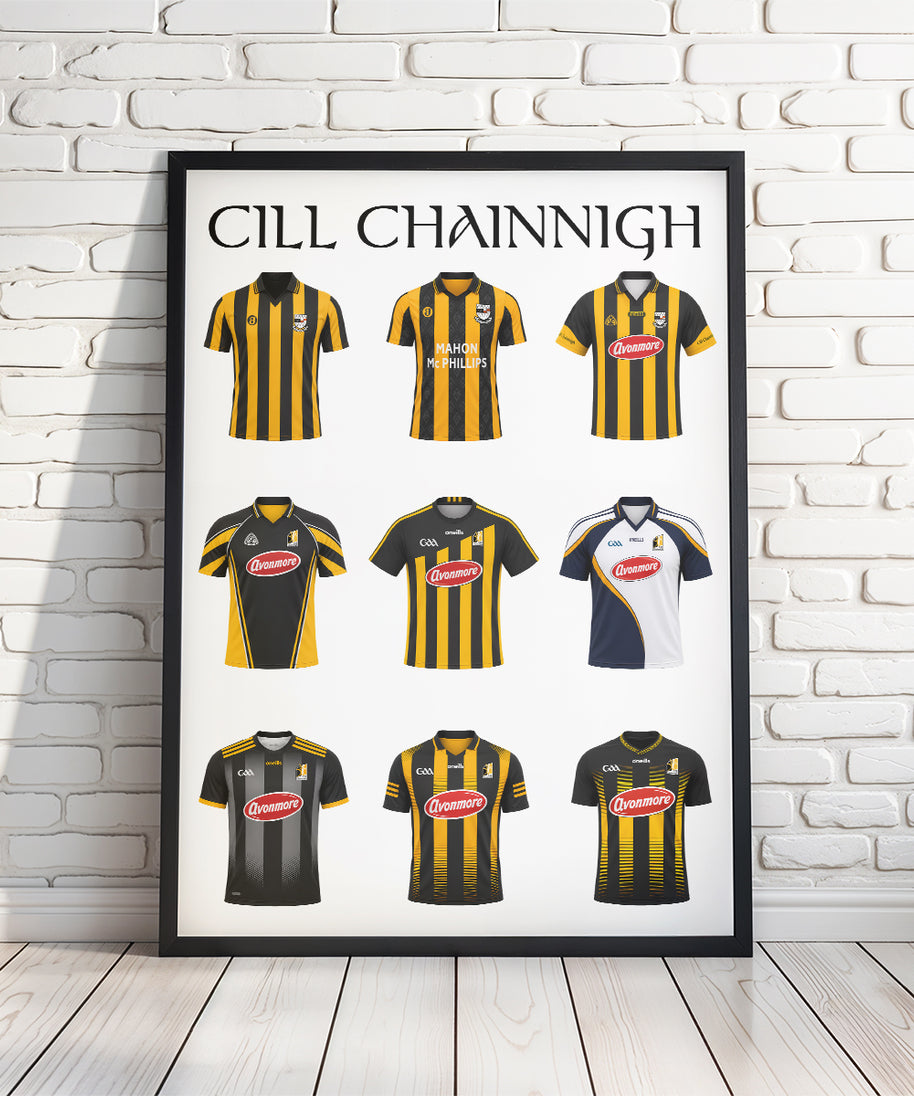 The History of Kilkenny