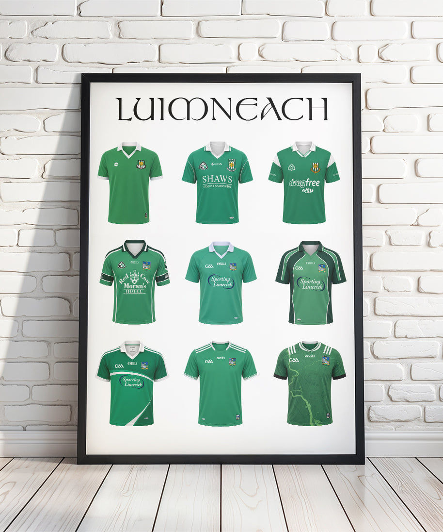 The History of Limerick