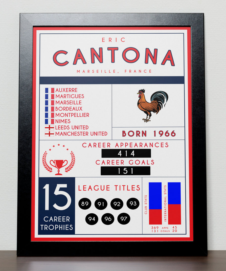 Eric Cantona stats poster